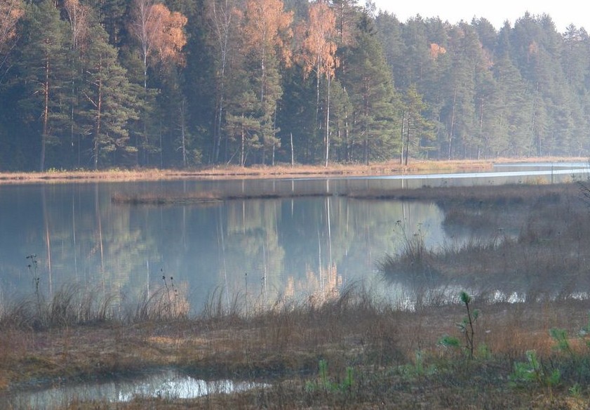 Wigierski Park Narodowy